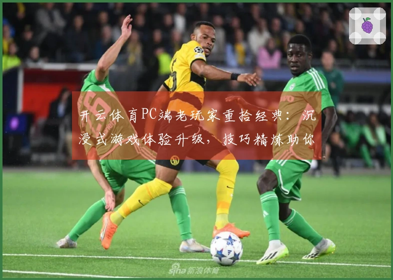 开云体育PC端老玩家重拾经典：沉浸式游戏体验升级，技巧精炼助你重返巅峰