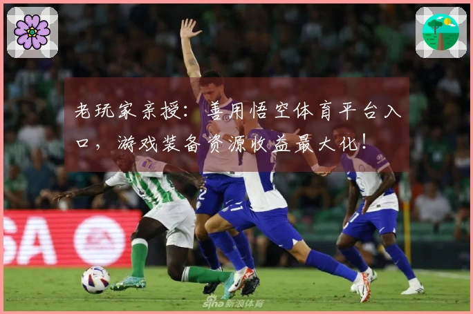 老玩家亲授：善用悟空体育平台入口，游戏装备资源收益最大化！