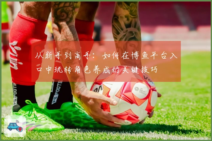 从新手到高手：如何在博鱼平台入口中玩转角色养成的关键技巧