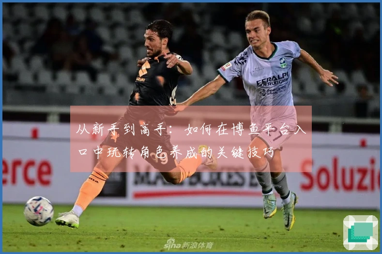 从新手到高手：如何在博鱼平台入口中玩转角色养成的关键技巧